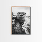 Curious Otter