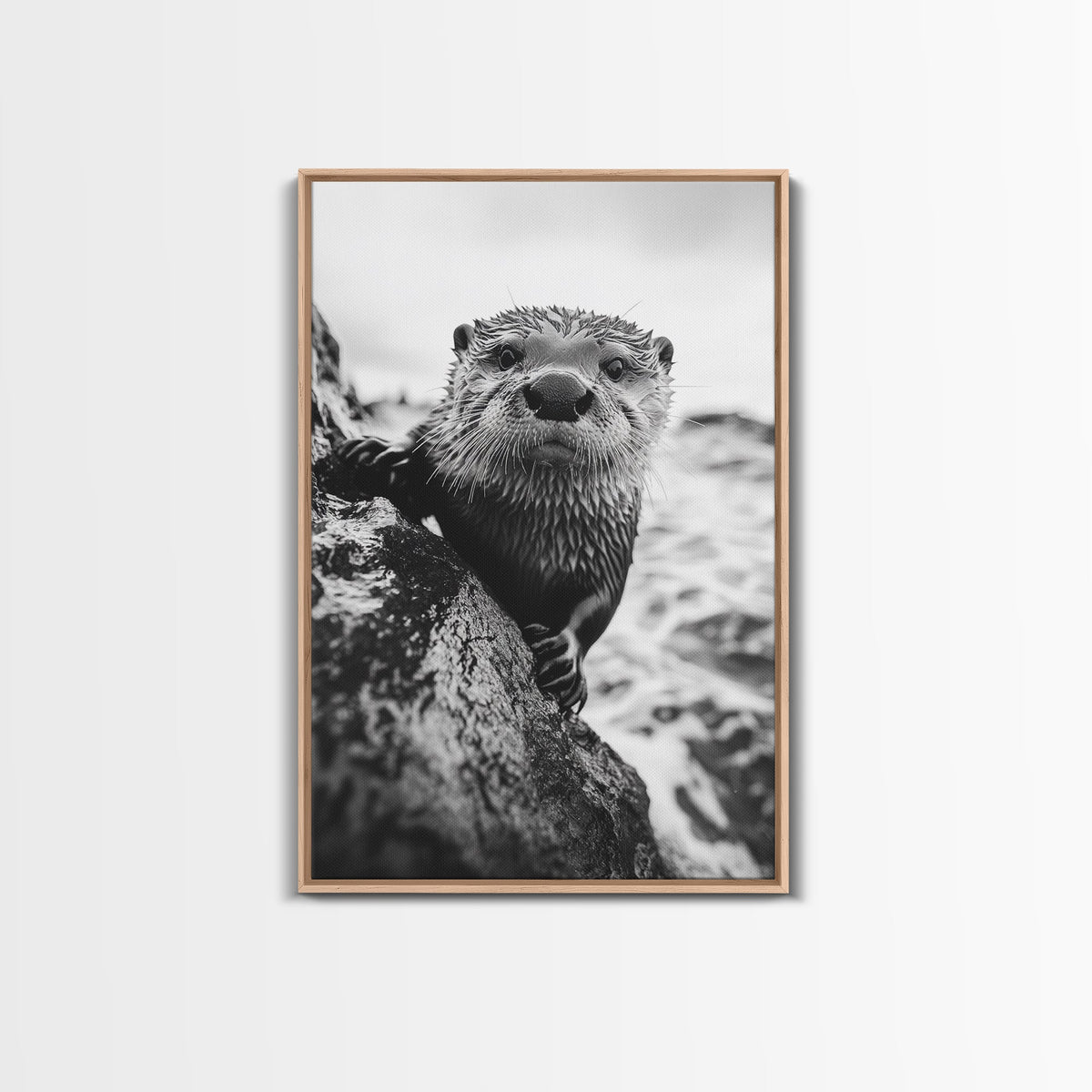 Curious Otter
