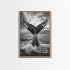 Whale Tail Splash