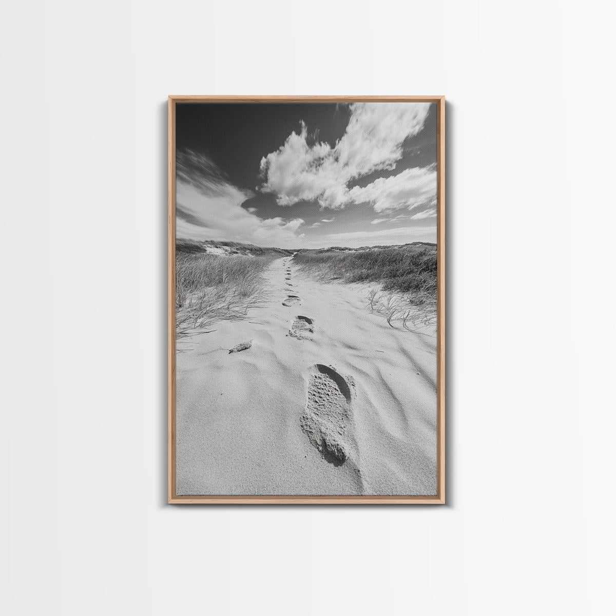 Desert Footprints Path