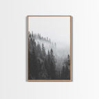 Misty Forest