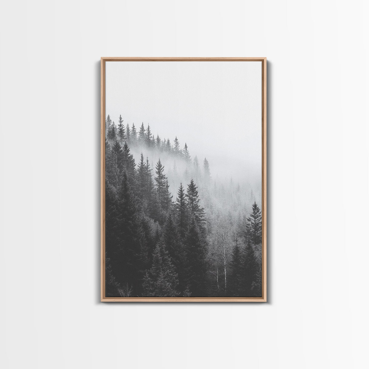 Misty Forest