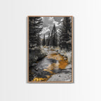 Forest Stream