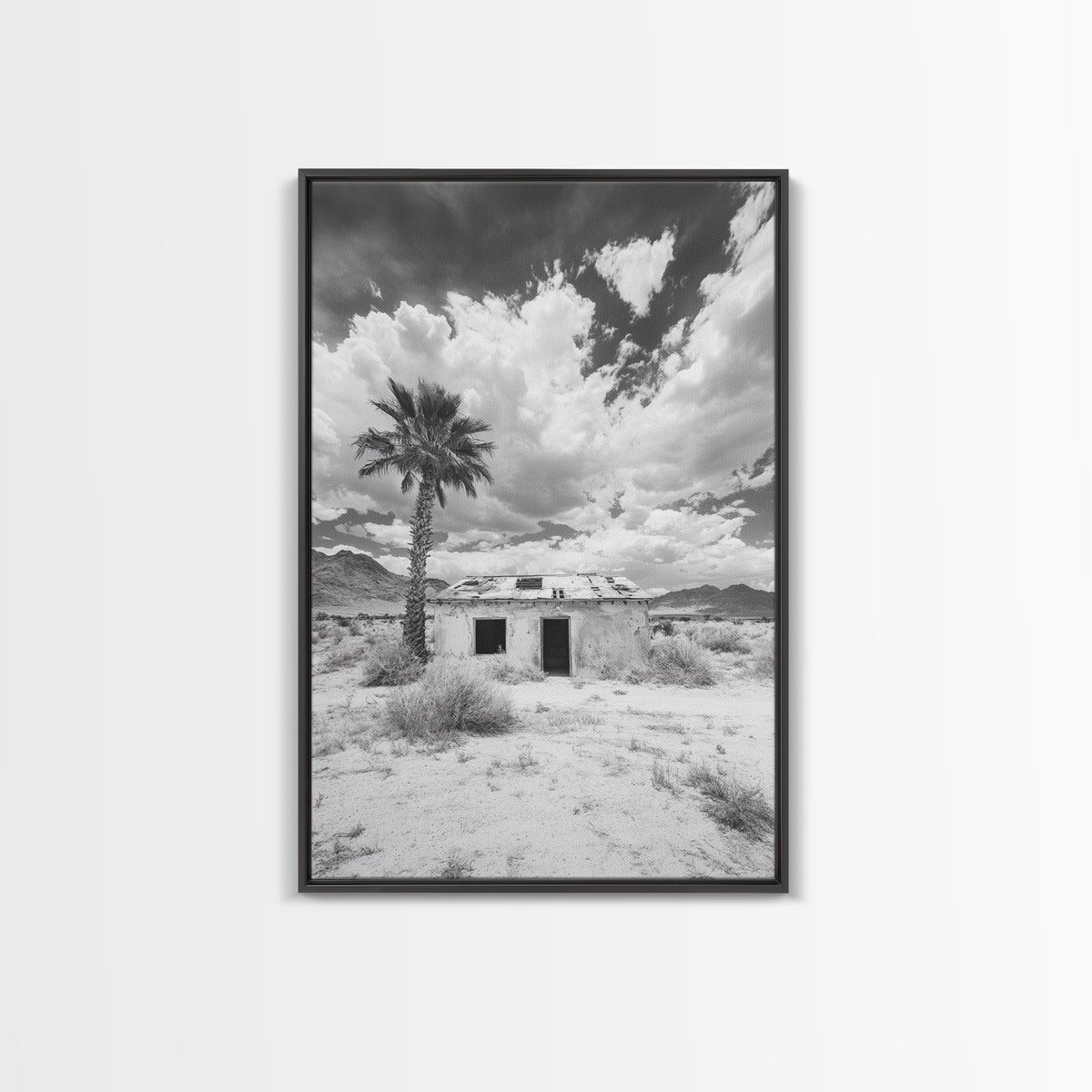 Palm Tree