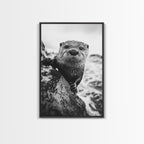 Curious Otter