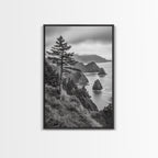 Oregon Coastline View