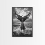 Whale Tail Splash
