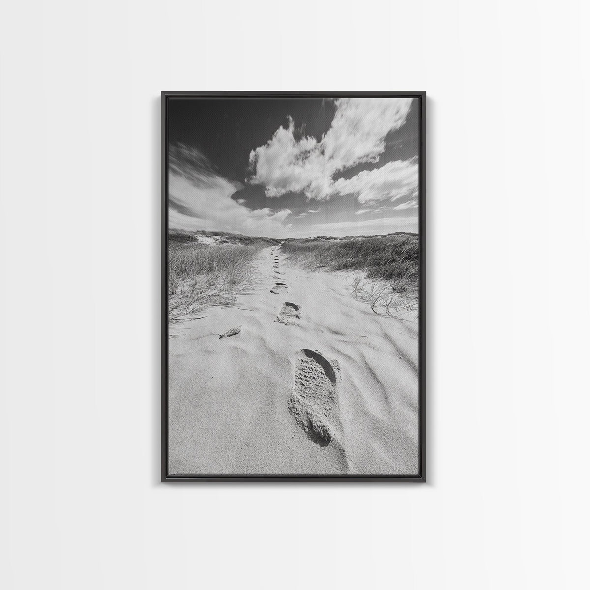 Desert Footprints Path