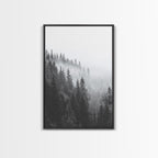 Misty Forest
