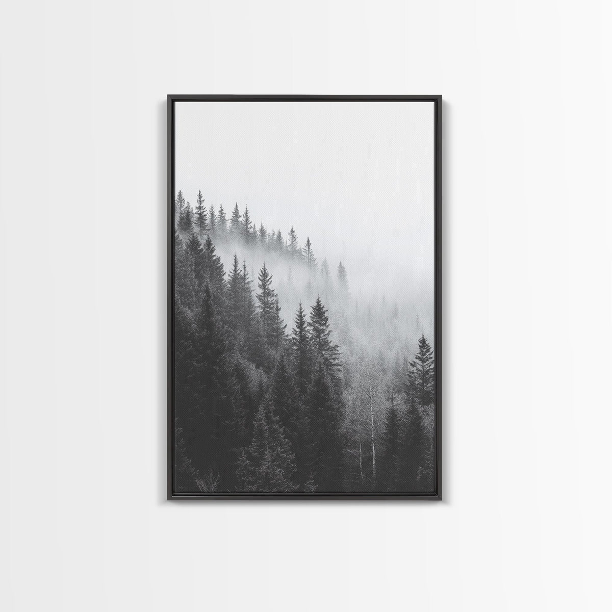 Misty Forest