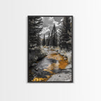 Forest Stream