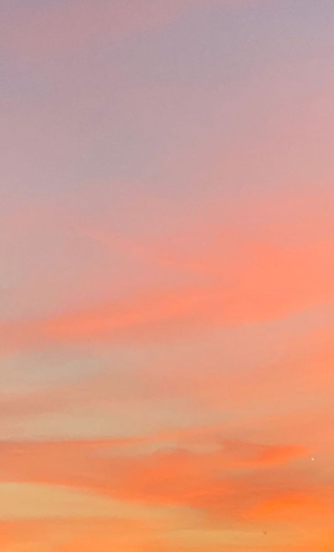 Summer Sunset 7.5 oz Candle