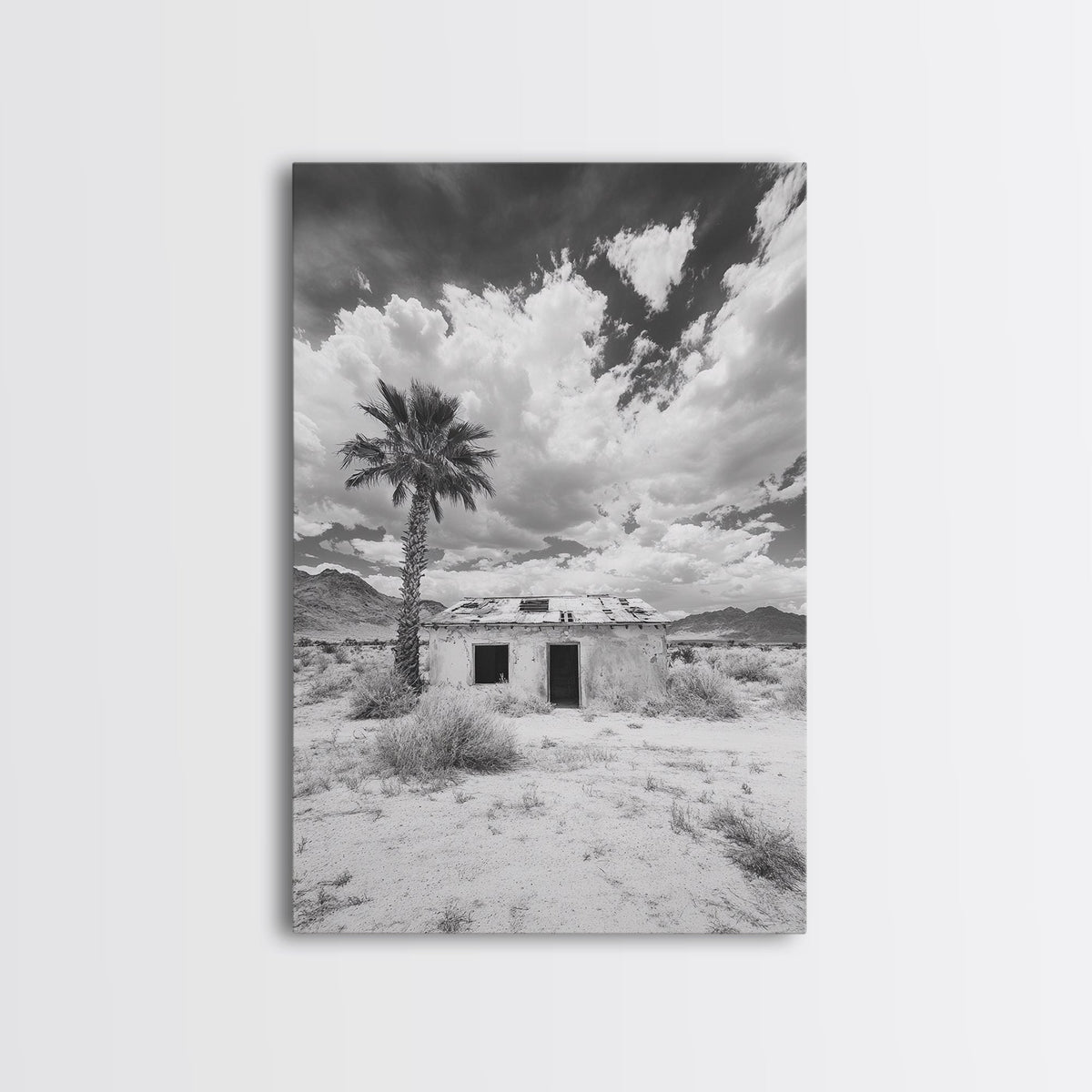 Palm Tree