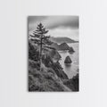 Oregon Coastline View