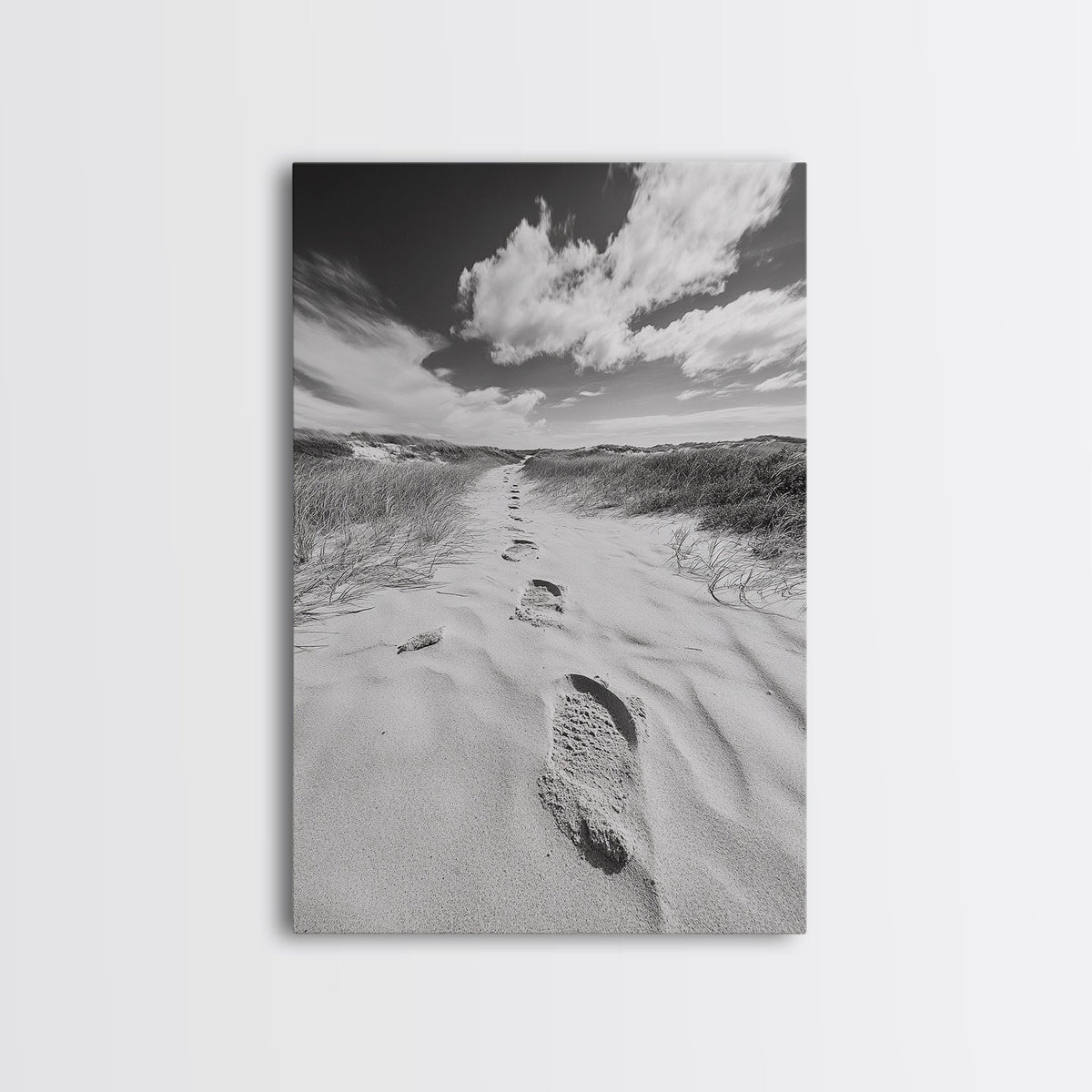 Desert Footprints Path