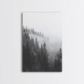 Misty Forest