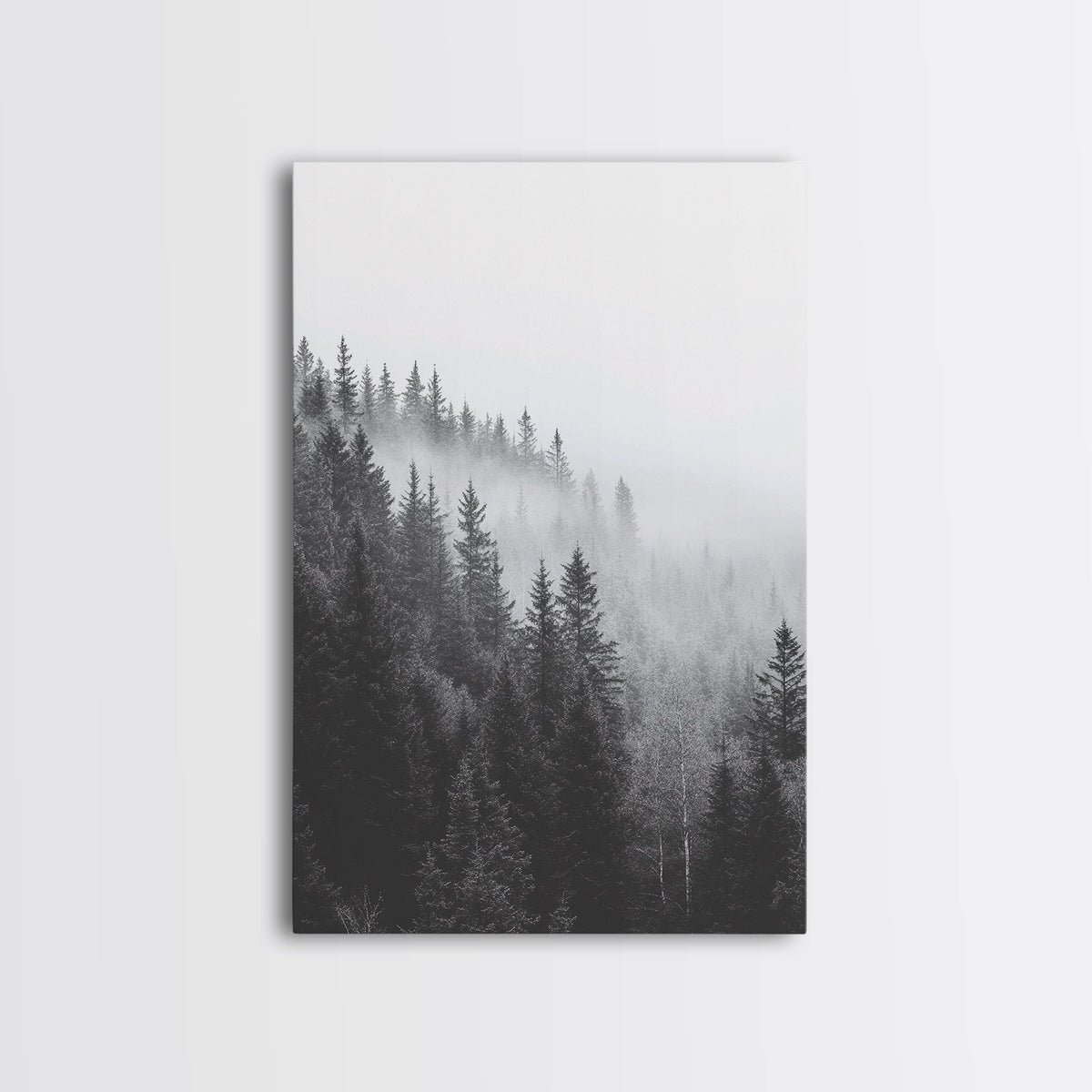 Misty Forest