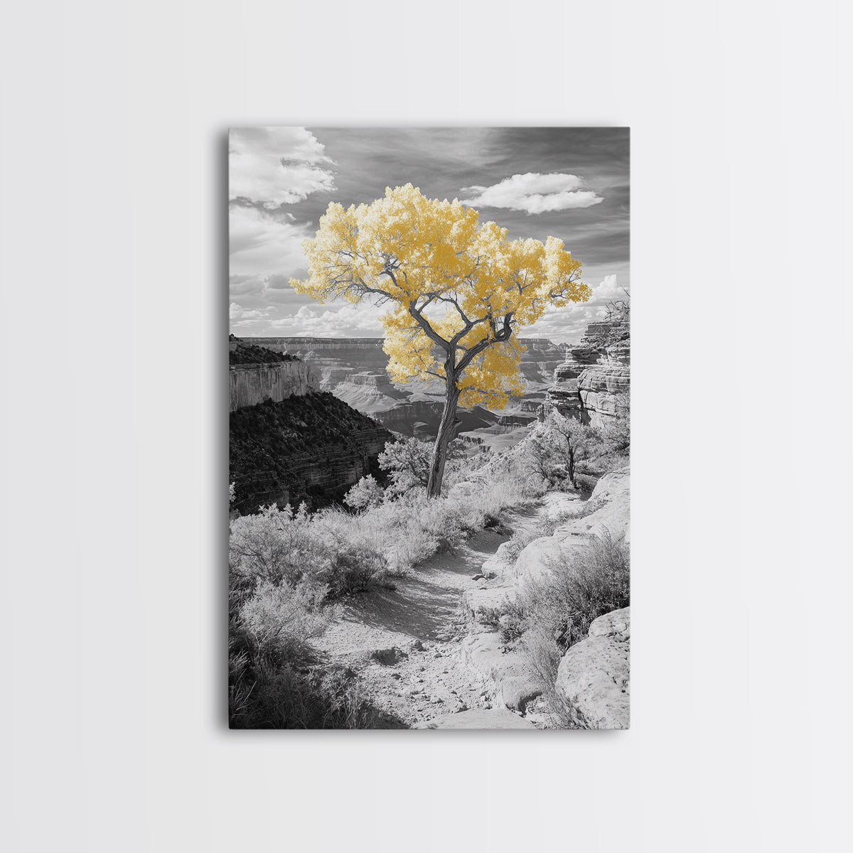 Autumn Canyon Trail