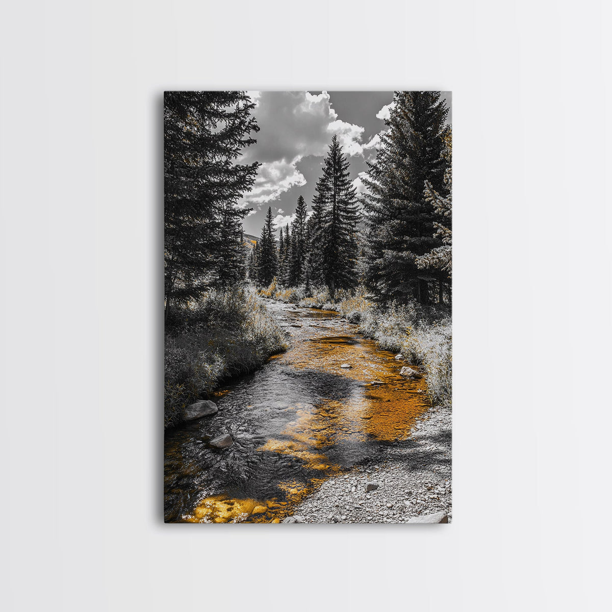 Forest Stream