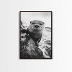 Curious Otter