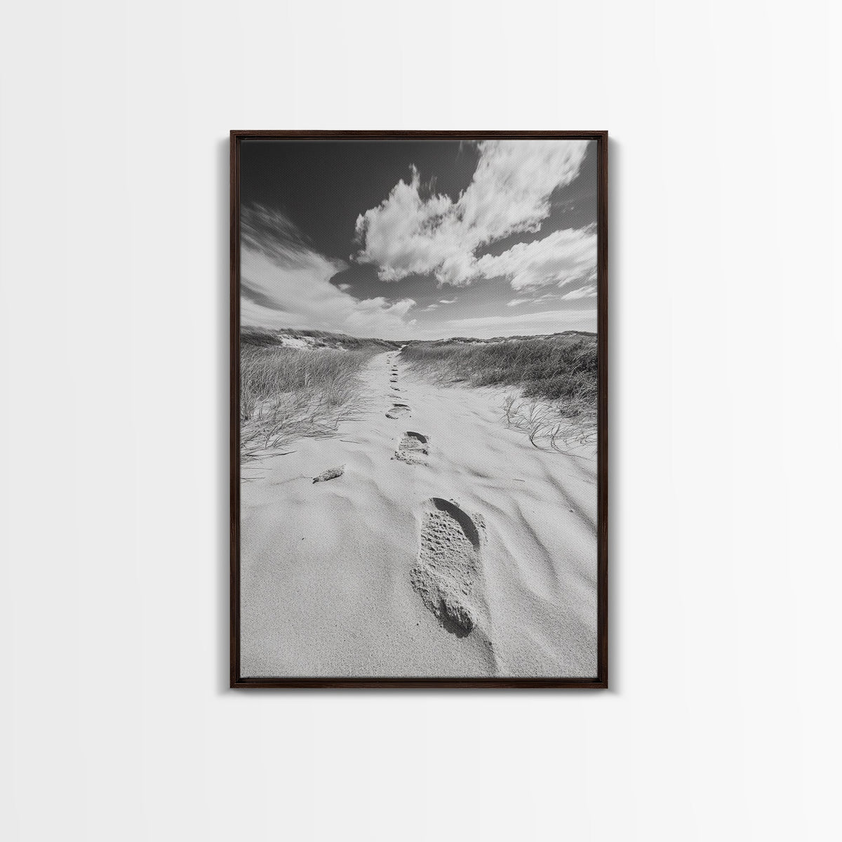 Desert Footprints Path