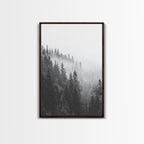 Misty Forest