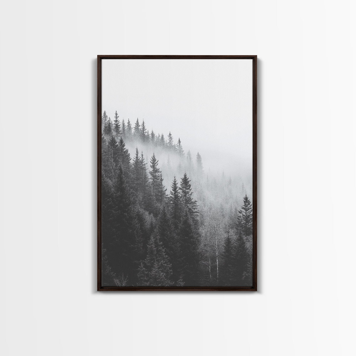 Misty Forest