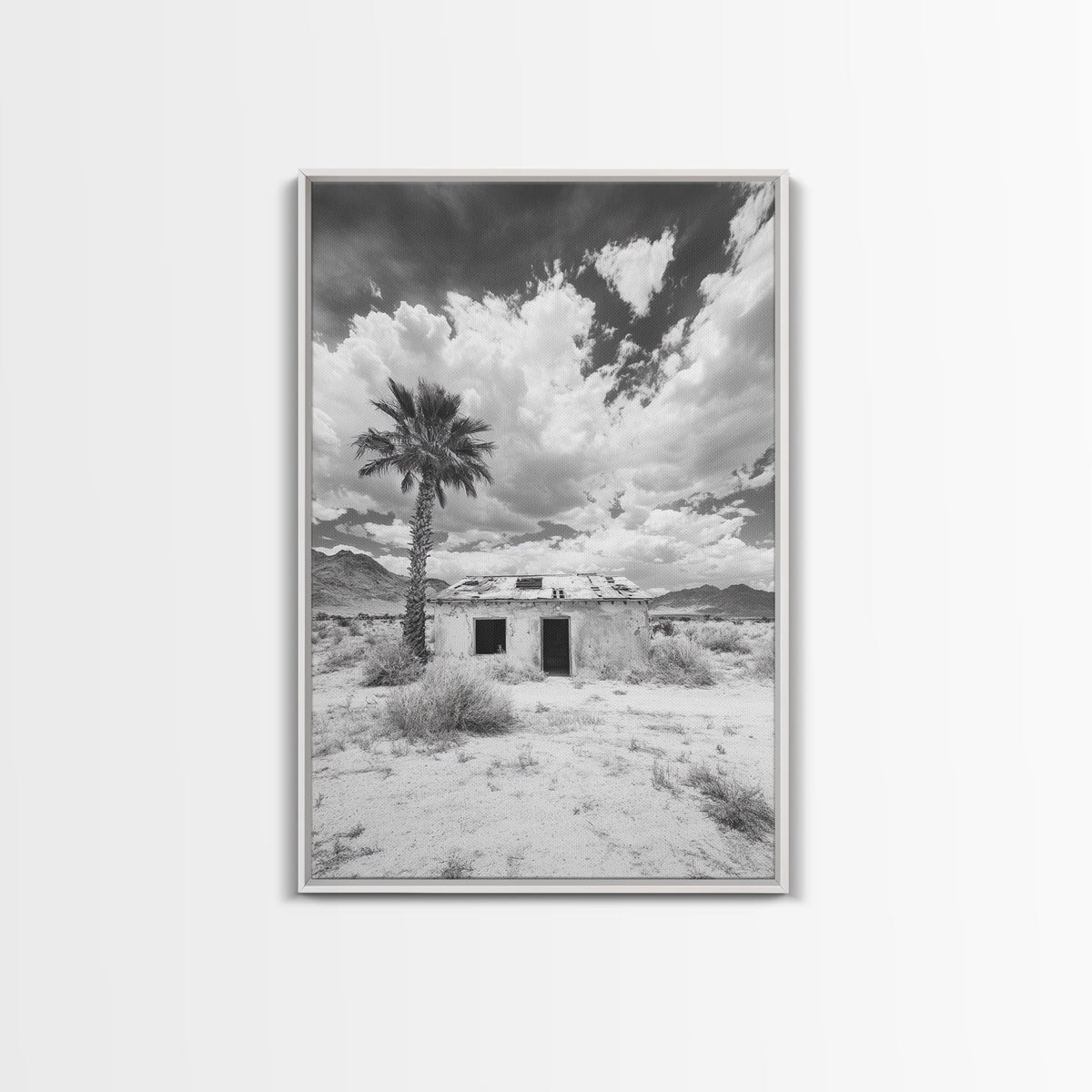 Palm Tree
