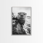Curious Otter