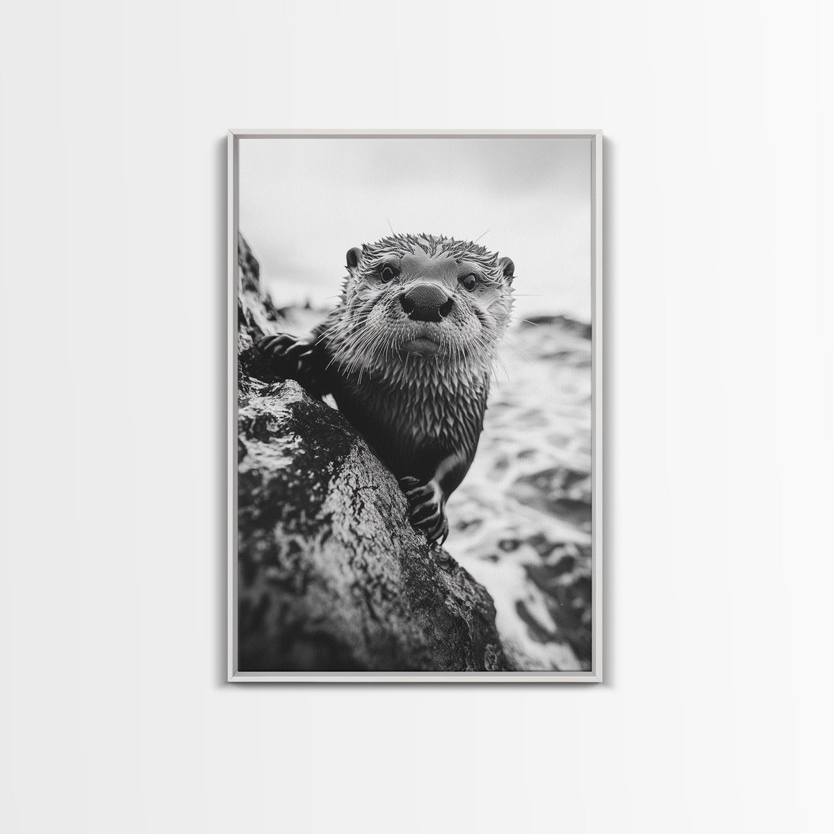 Curious Otter