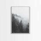 Misty Forest