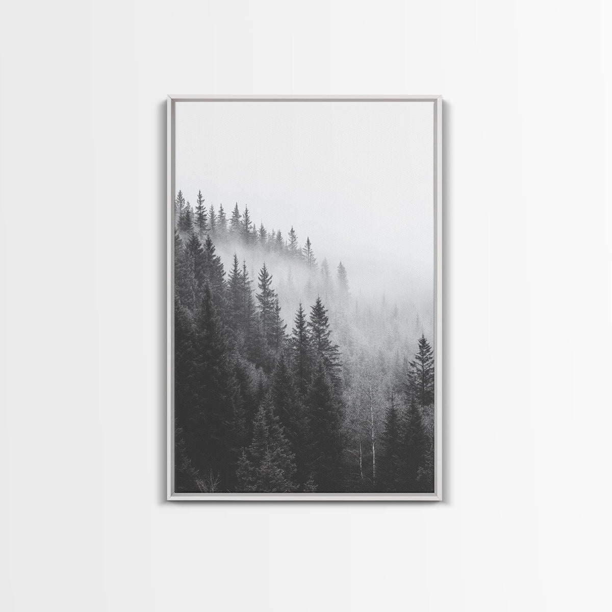 Misty Forest