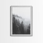 Misty Forest