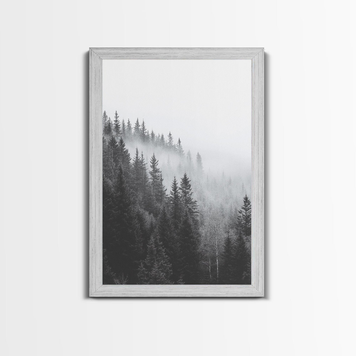 Misty Forest