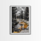 Forest Stream