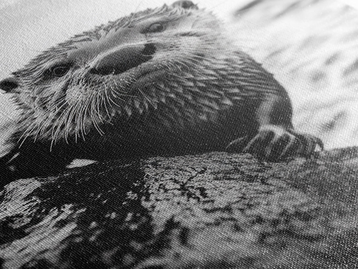 Curious Otter