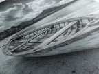 Abandoned Rowboat