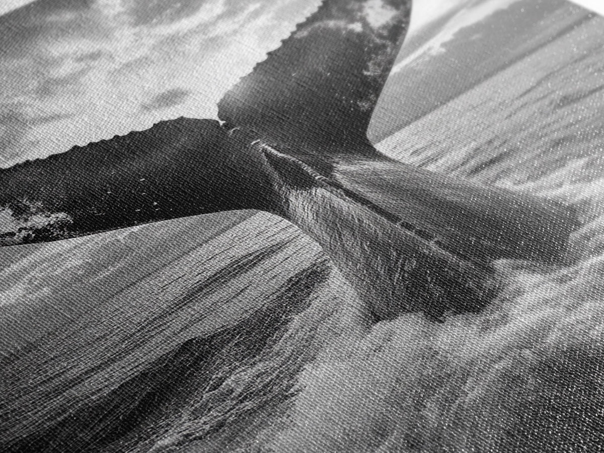Whale Tail Splash