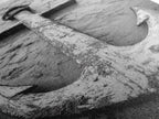 Abandoned Anchor
