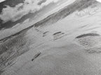 Desert Footprints Path