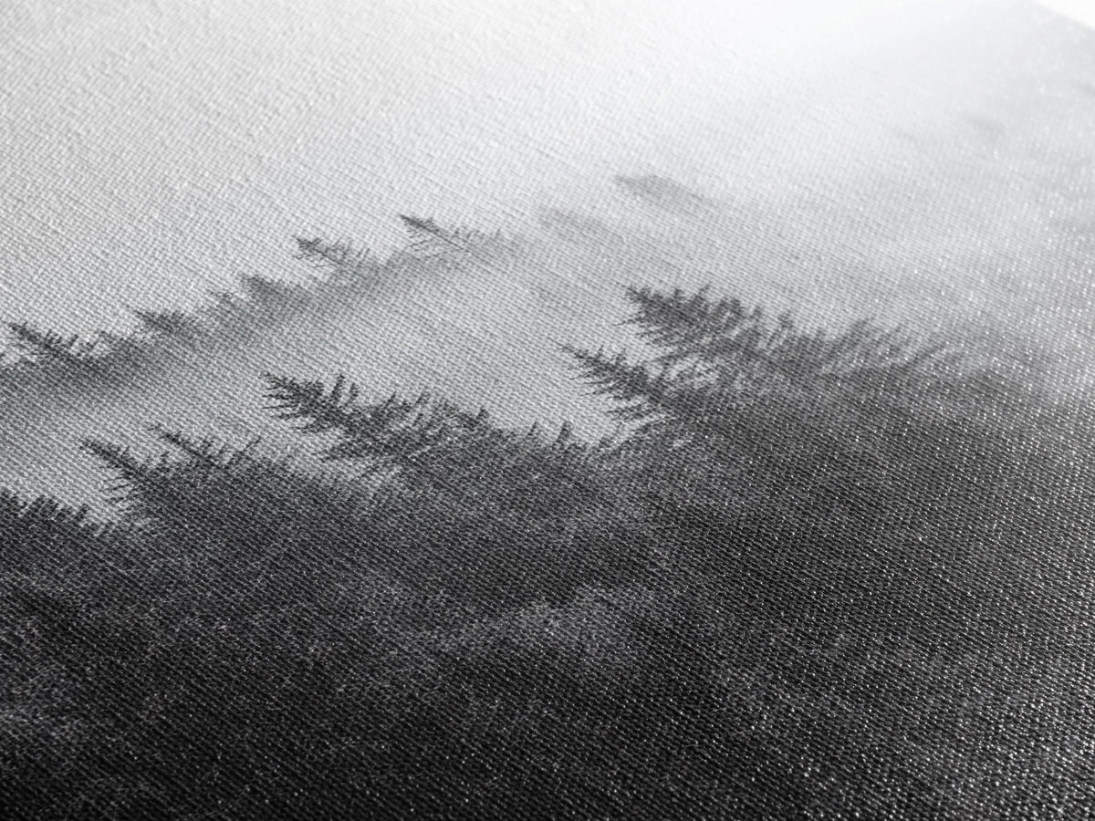 Misty Forest