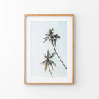 California Tropical Themed Wall Decor