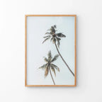 California Tropical Themed Wall Decor
