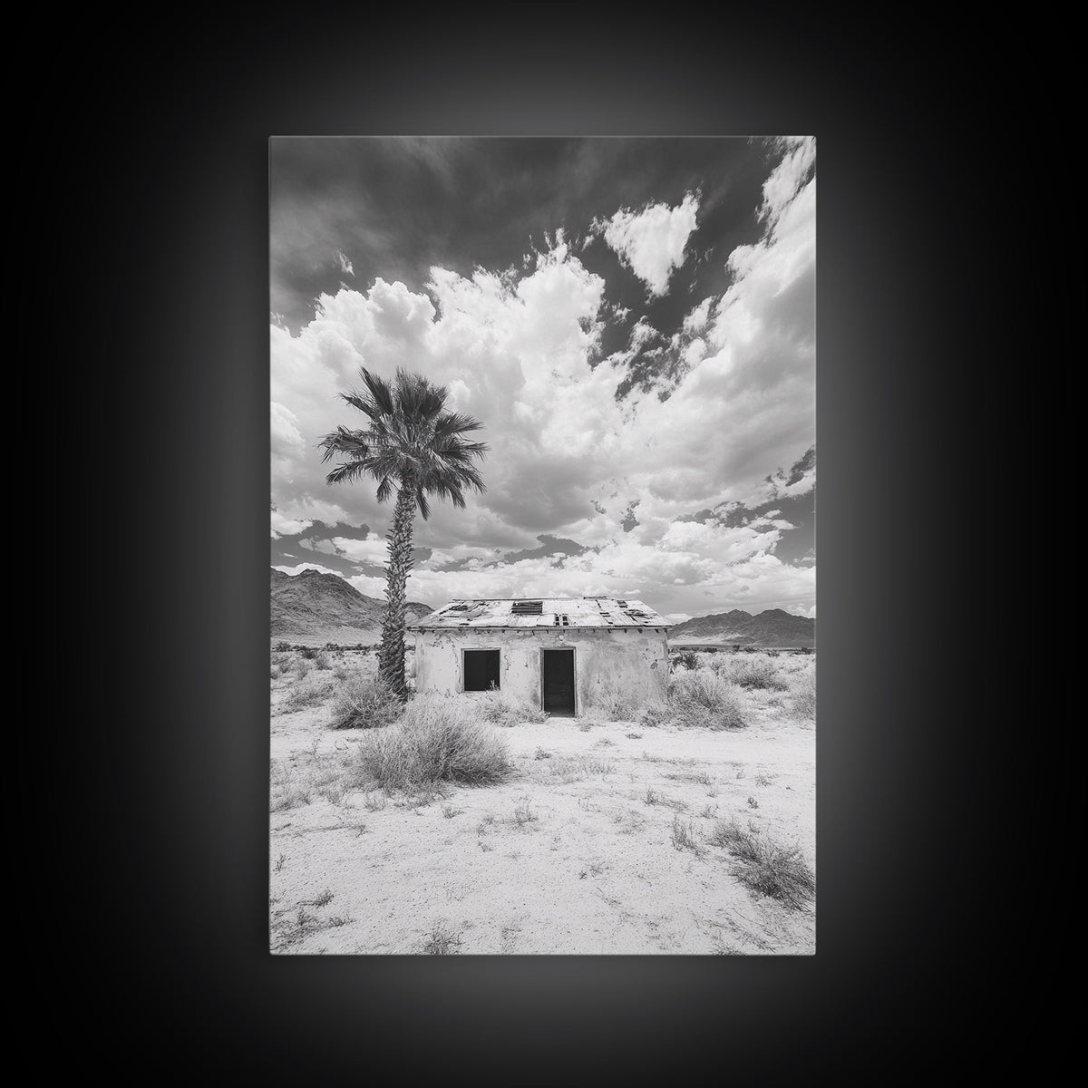 Palm Tree