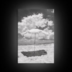 Beach Umbrella