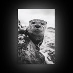 Curious Otter