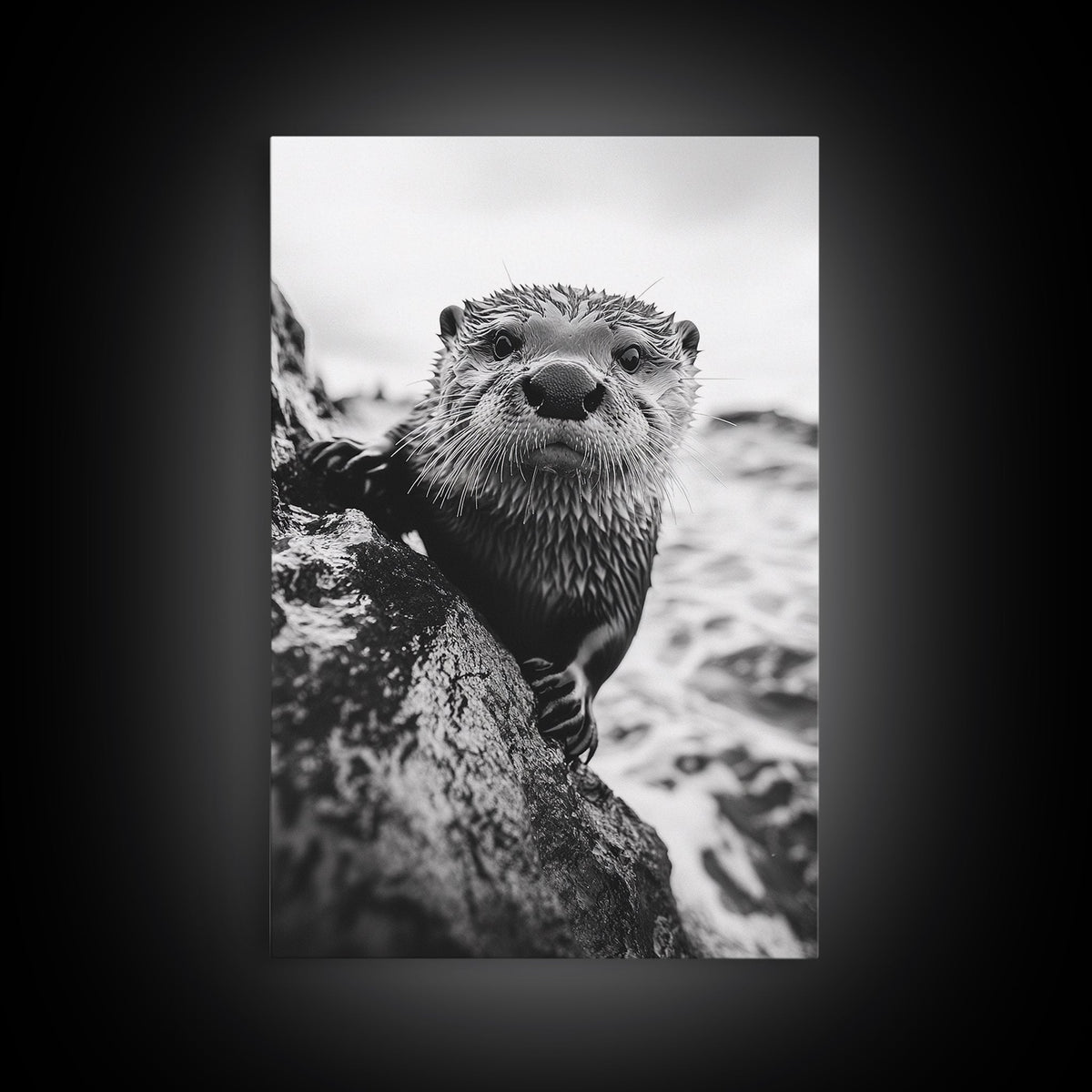 Curious Otter