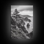 Oregon Coastline View
