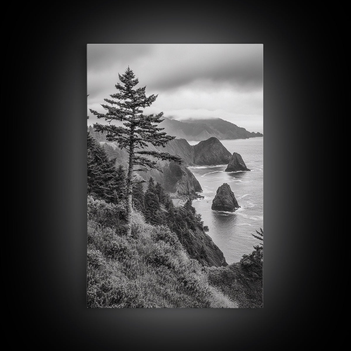 Oregon Coastline View