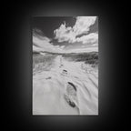Desert Footprints Path